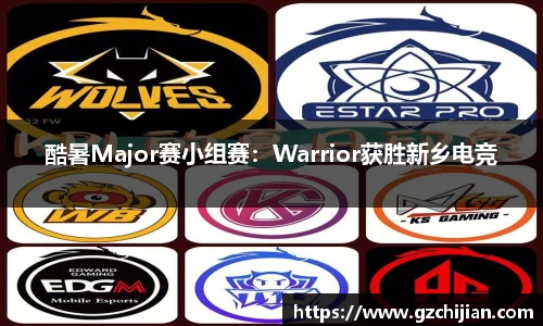 酷暑Major赛小组赛：Warrior获胜新乡电竞